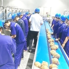 Coconut Processing Plant coconut milk processing machine coconut water processing machine
