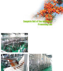 Juice Extractor Machine Fruit Juice Processing Line 20T/D－2000T/D Capacity