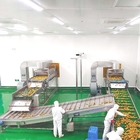 Mango processing plant mango processing machine mango pulp processing