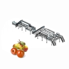 SUS304 / SUS316L Complete Apple Processing Line , Fruit Juice Equipment