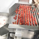 ISO9001 Fresh Tomato Processing Line For Concentrated Paste