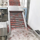 ISO9001 Fresh Tomato Processing Line For Concentrated Paste