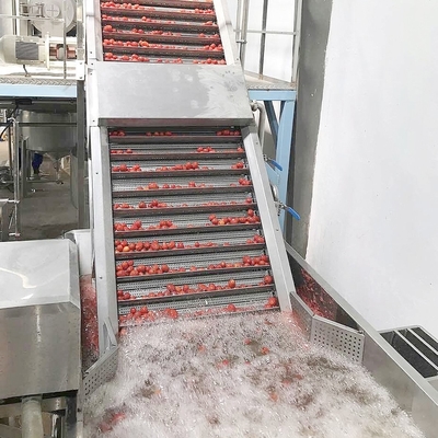 Industrial Tomato Paste Making Machine Automatic Ketchup Processing Plant