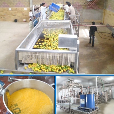 Mango pulp plant equipment mango sauce processing plant mango juice equipment manufacturers