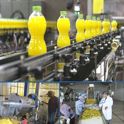 Commercial mango juice processing machine mango juice machine manufacturers
