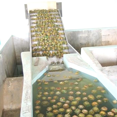 Pineapple Processing Machinery pineapple juice equipment manufacturers Pineapple Processing line