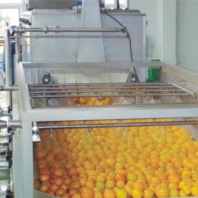 Automatic fresh ginger/turmeric cleaner stainless steel fruit washing machine