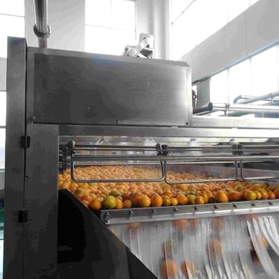 Industrial Fruit Processing Equipment Stainless Steel Fruit Brush Washer 5t/H