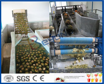 5TPH SUS304 High Speed Full Automatic Pineapple Processing Equipment For Juice Maker Machine