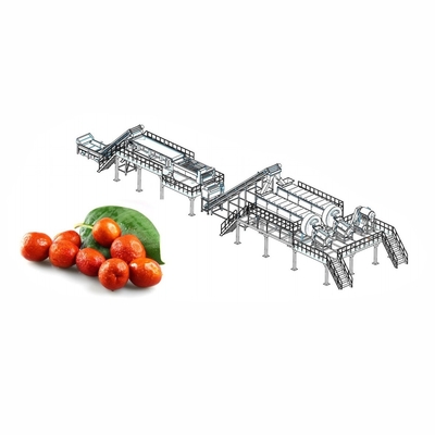 ইন্ডাস্ট্রিয়াল ডালিমের রস উৎপাদন লাইন 2 - 50T/H ডালিমের রস তৈরির সরঞ্জাম